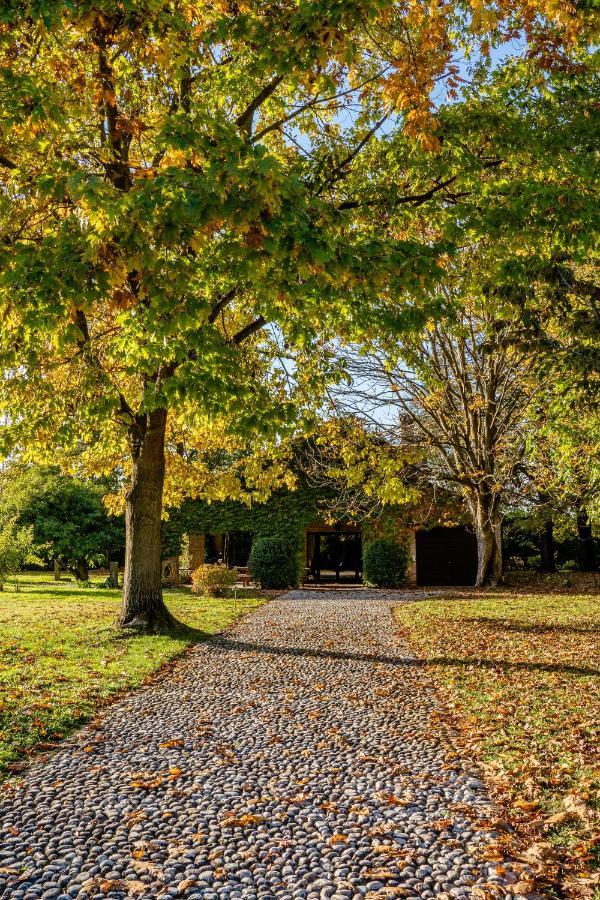 Casa Dorina Villa Padova Eksteriør bilde